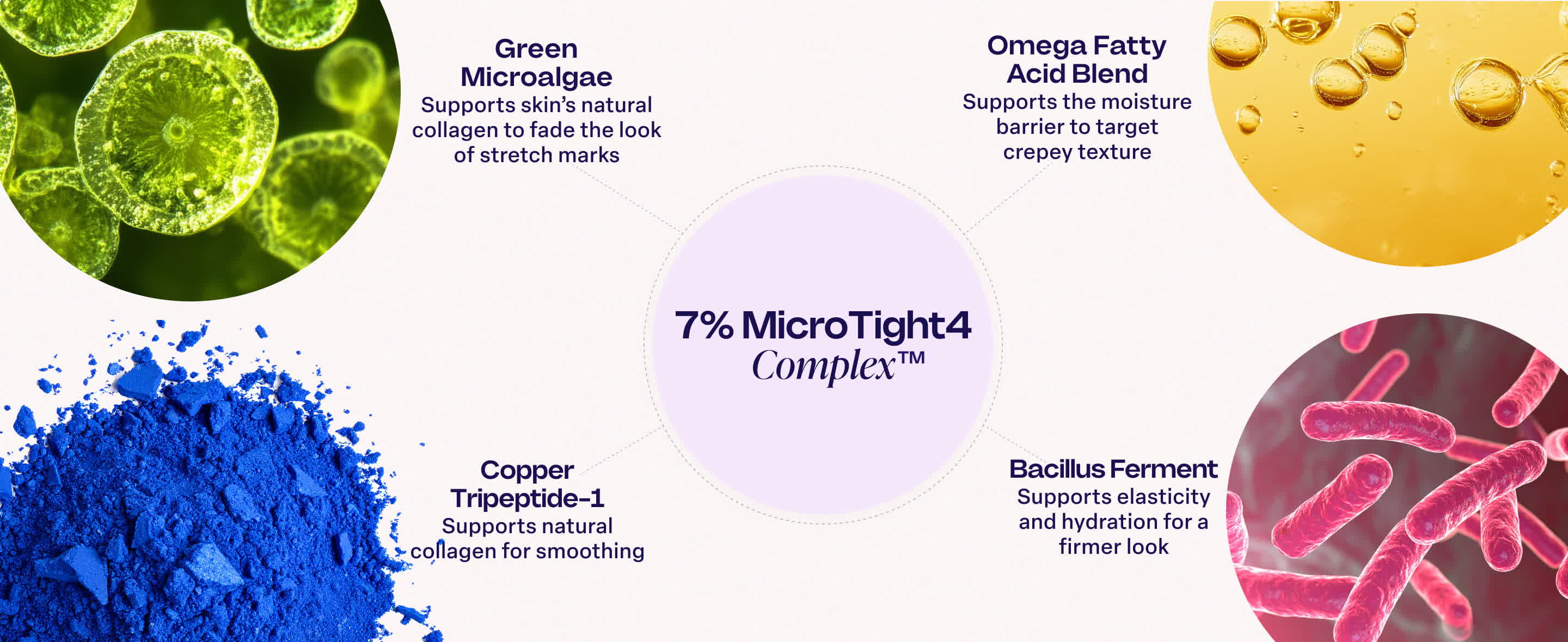 MicroTight4 Complex ingredients and their benefits